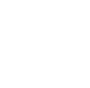 Rondje om de Koepel